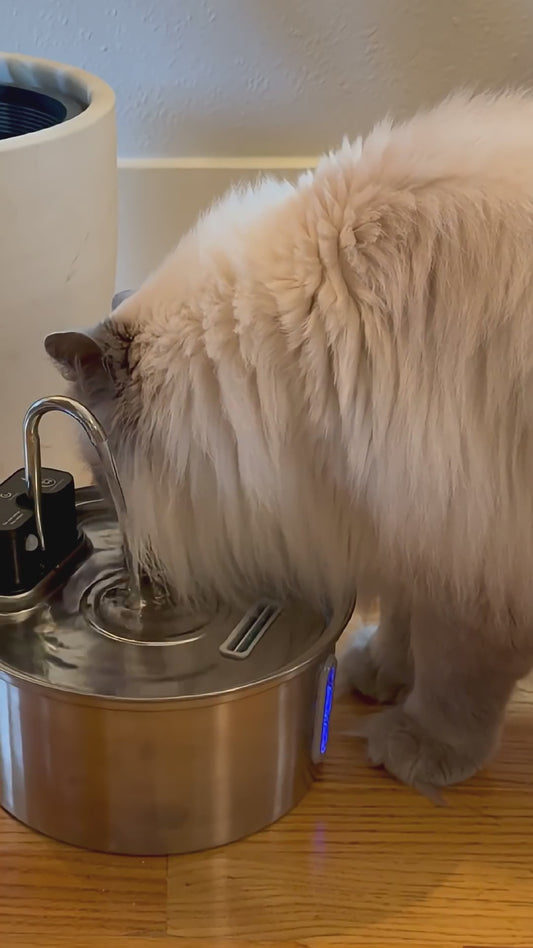 Whispaw 3 Month Hydration Kit